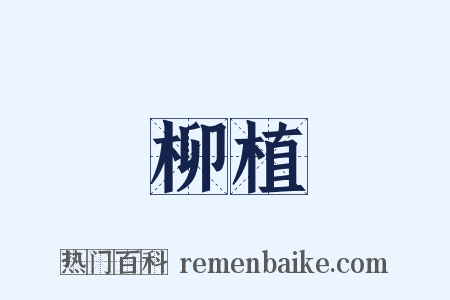 柳植是什么意思的图片